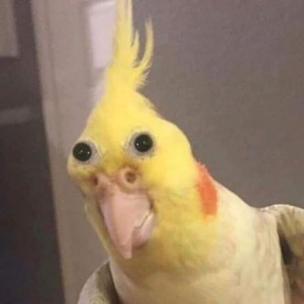 Pactagon