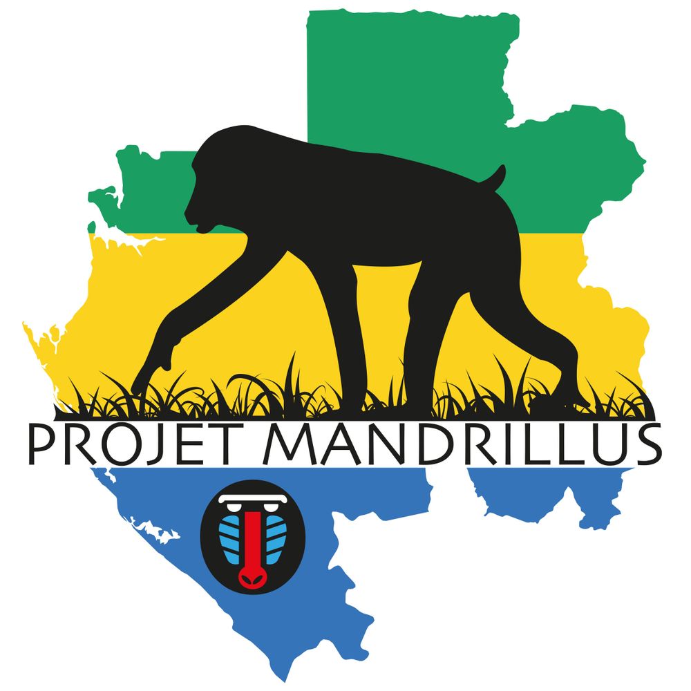 Profile picture mandrillusproject.bsky.social