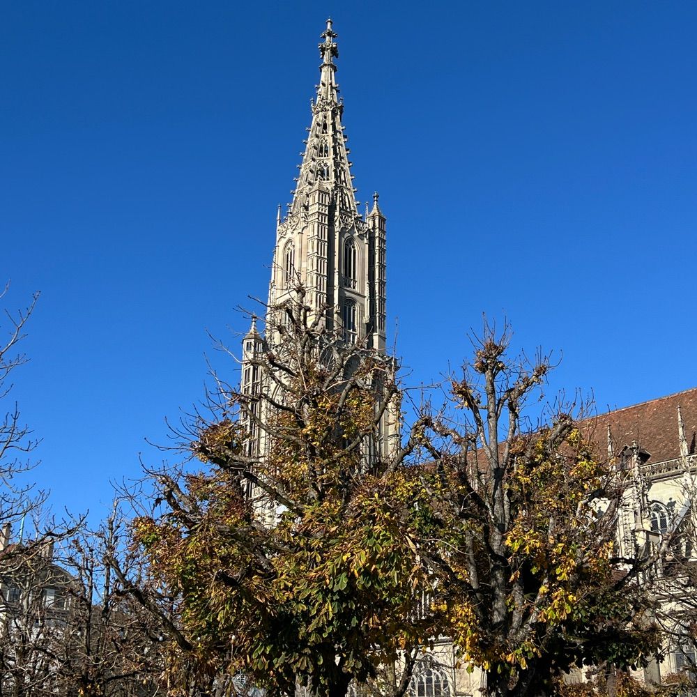 mattequartier romybern