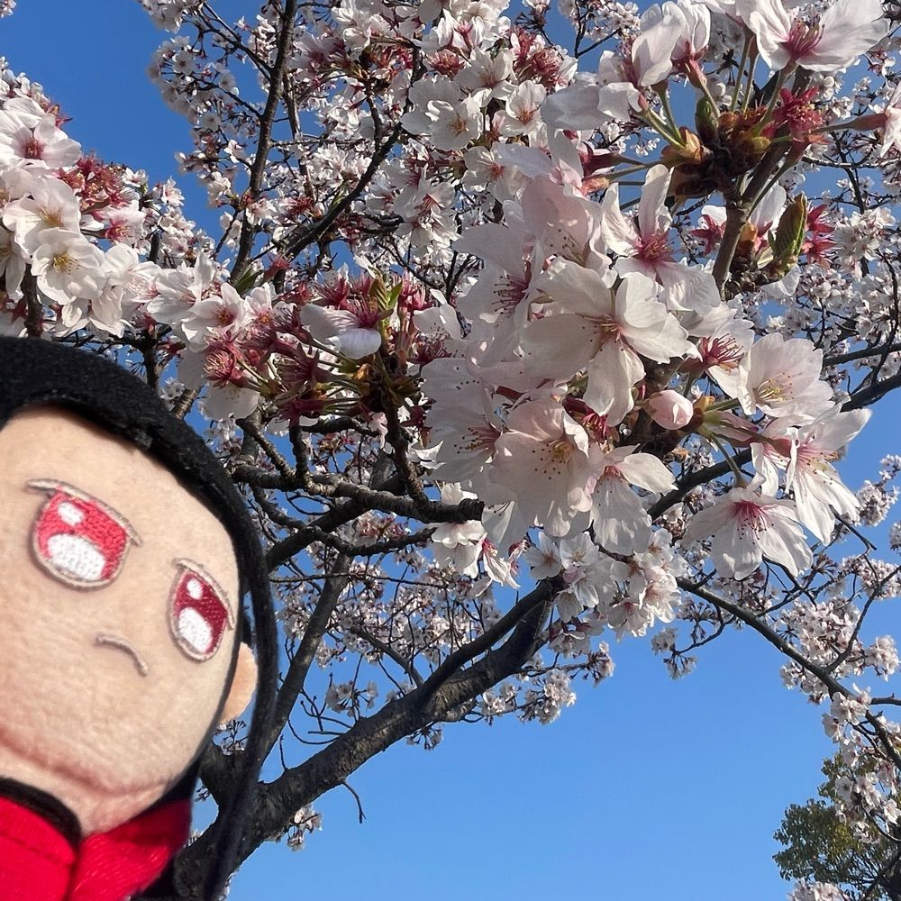 フラワー