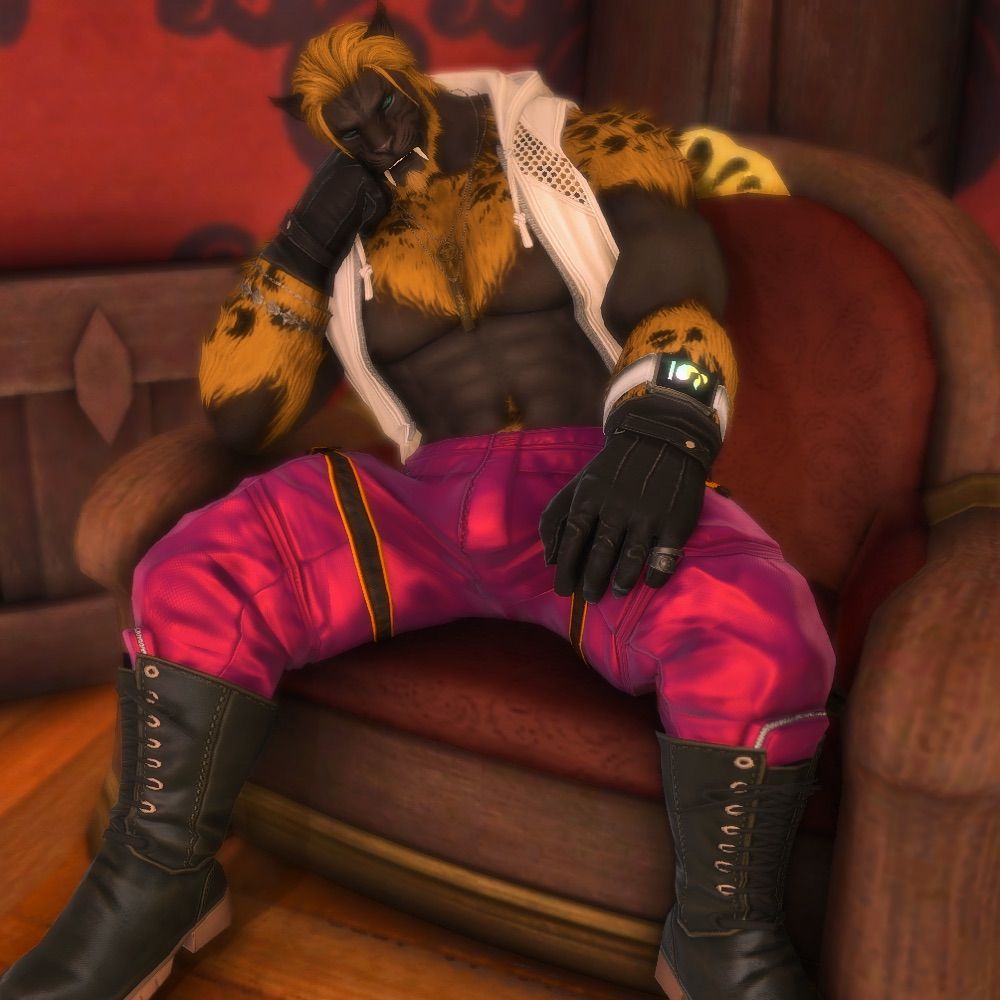 Isidon (Himbo Cat)