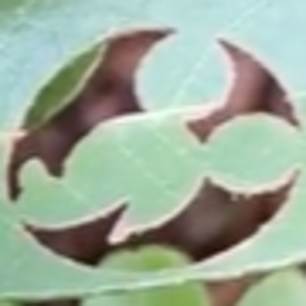 𝐁𝐑𝐀𝐍𝐍𝐘𖤐