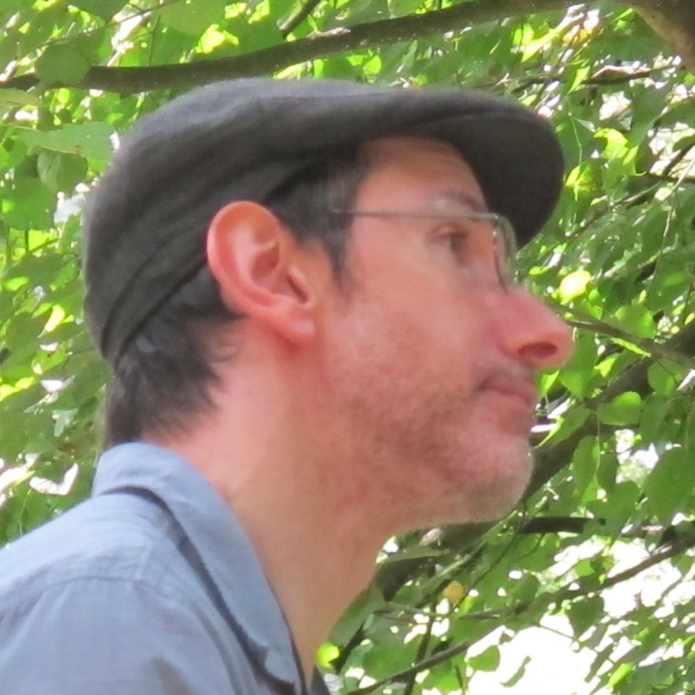 David Gill