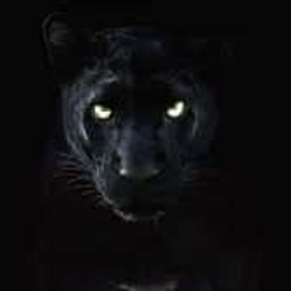 L’Étoile Noir