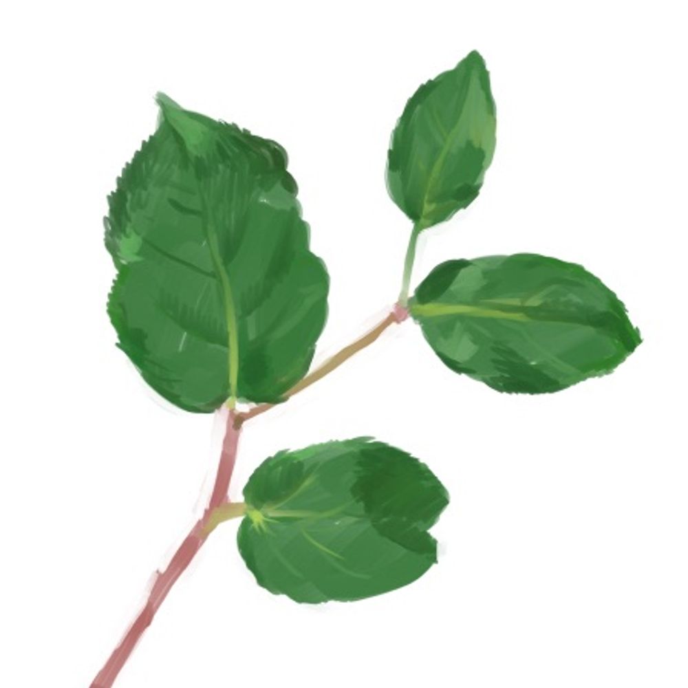 kao
