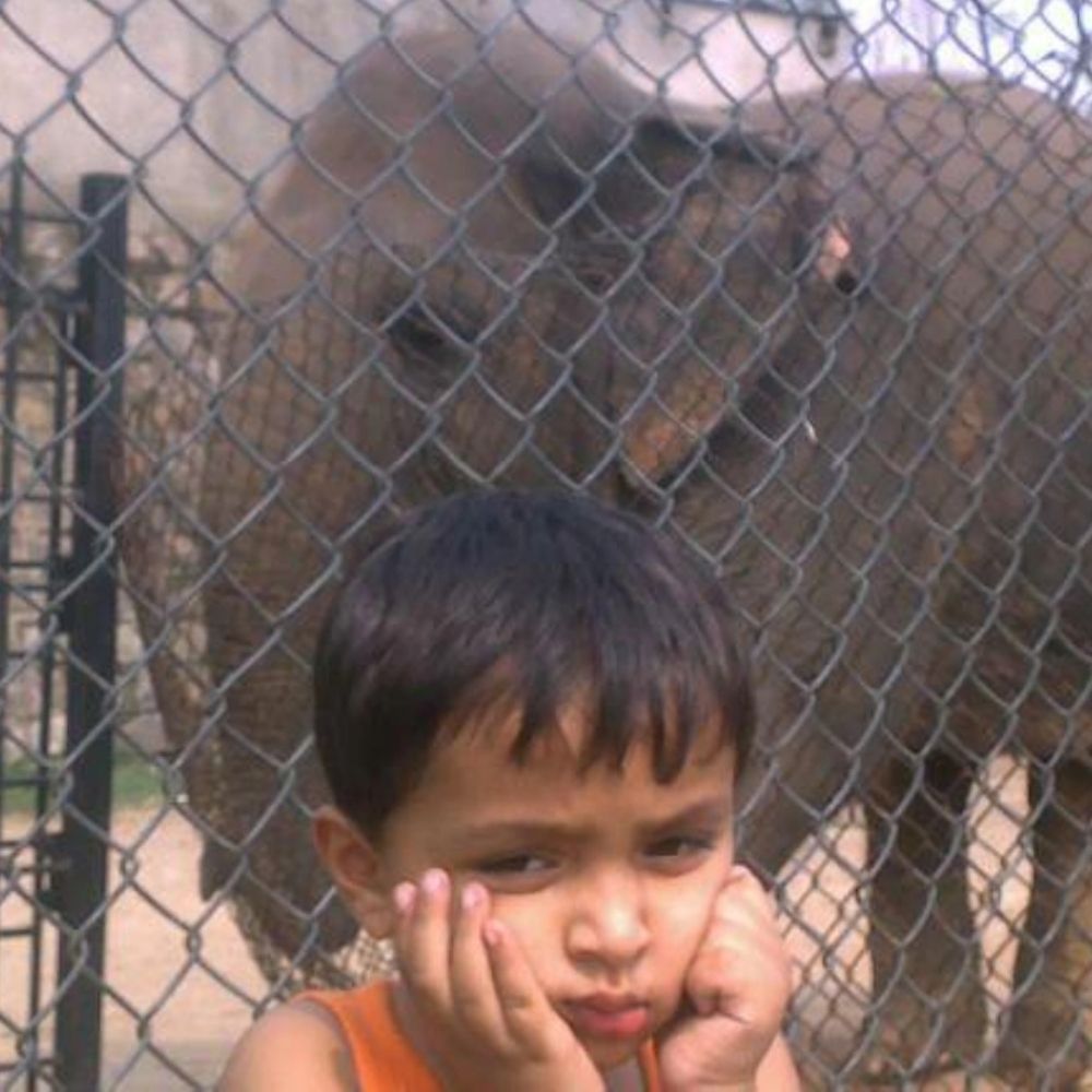 ibrahim hisham