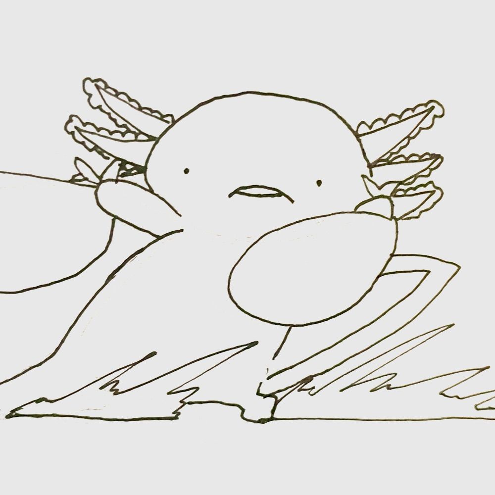 和智