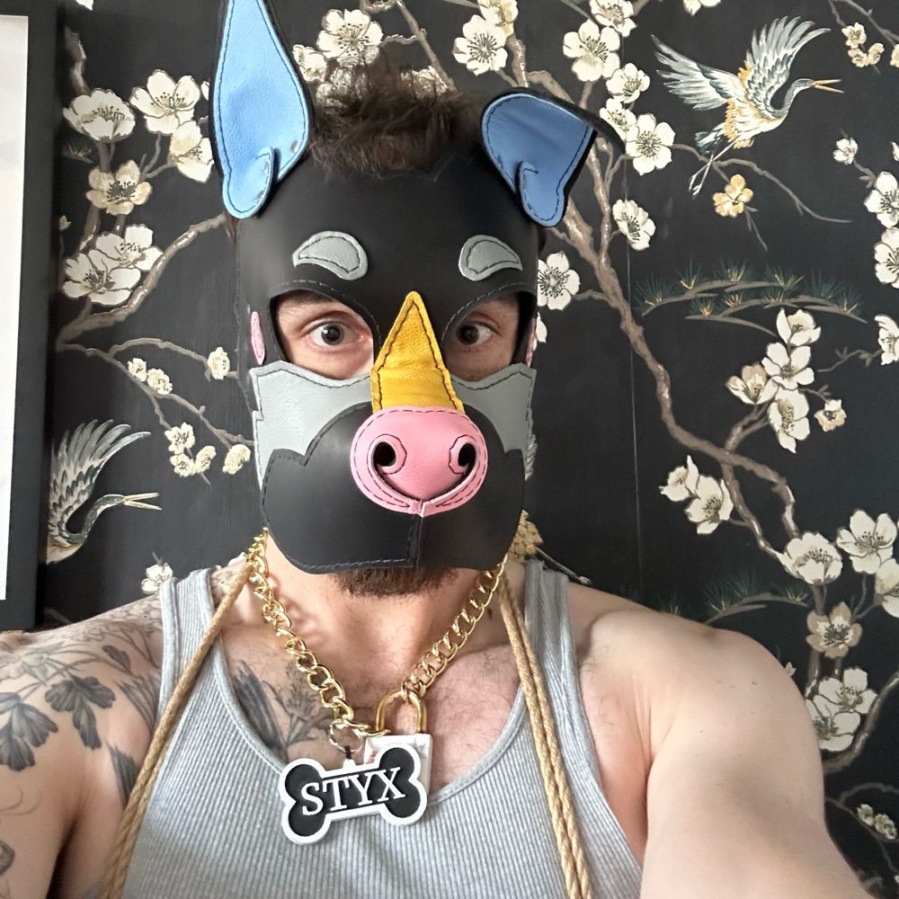 Pup Styx