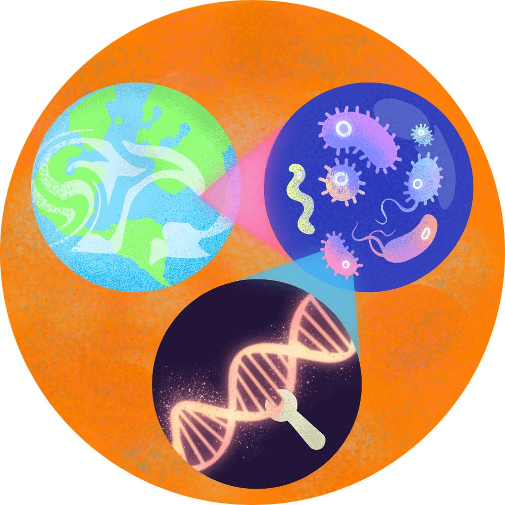 MsEE Lab