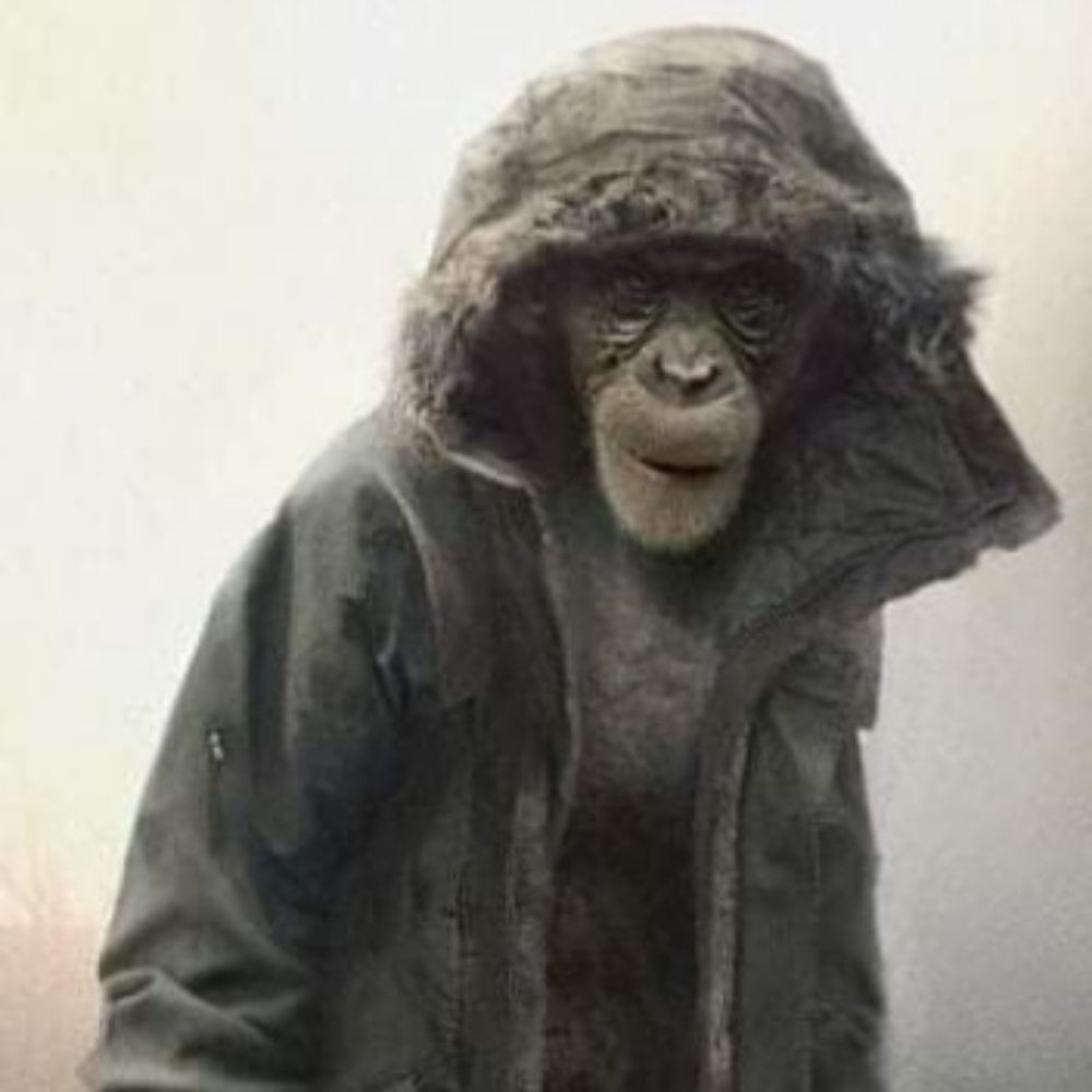 Koko