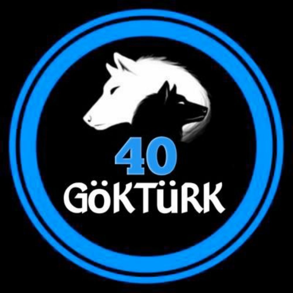 GÖKTÜRKLER