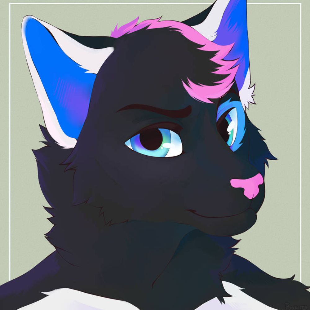 Kyle Cat