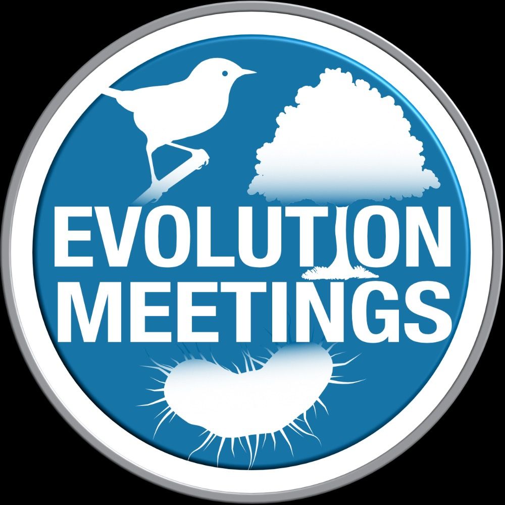 Evolution Meetings's avatar