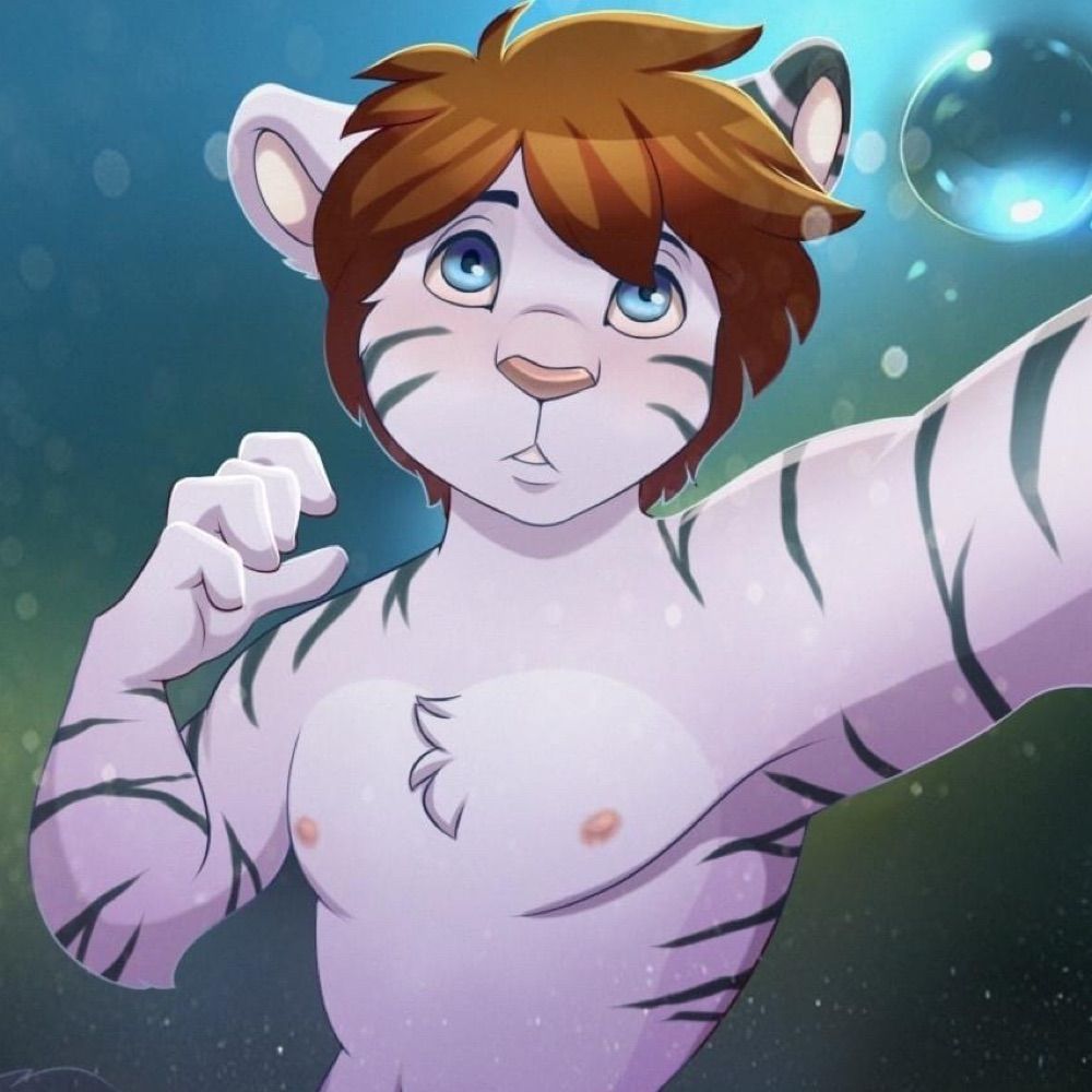 Geeo Tiger 