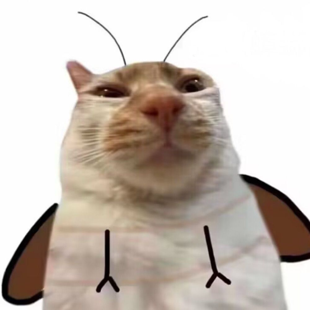 我鸟