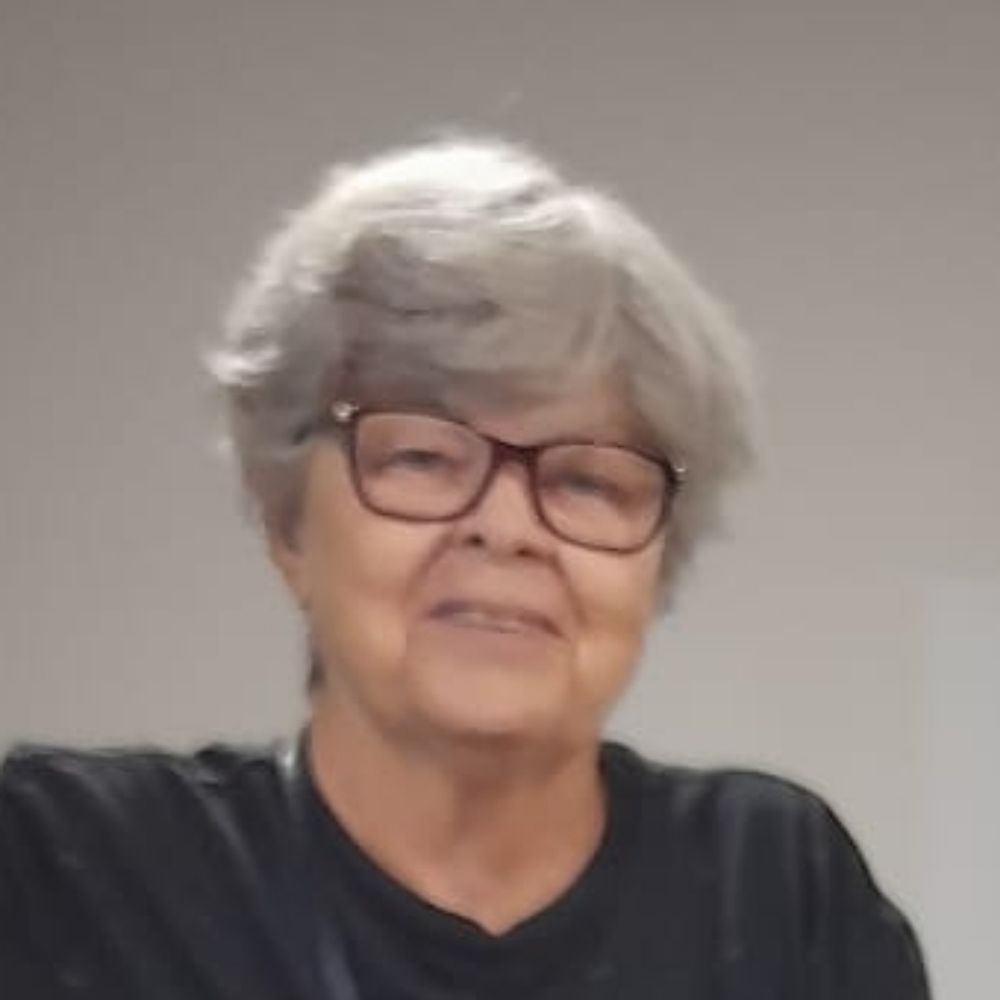 Ana Vidotti