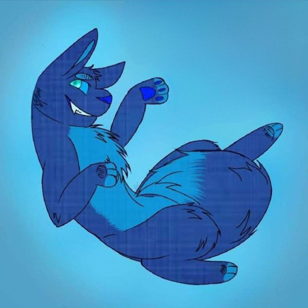 Bluprint_Husky