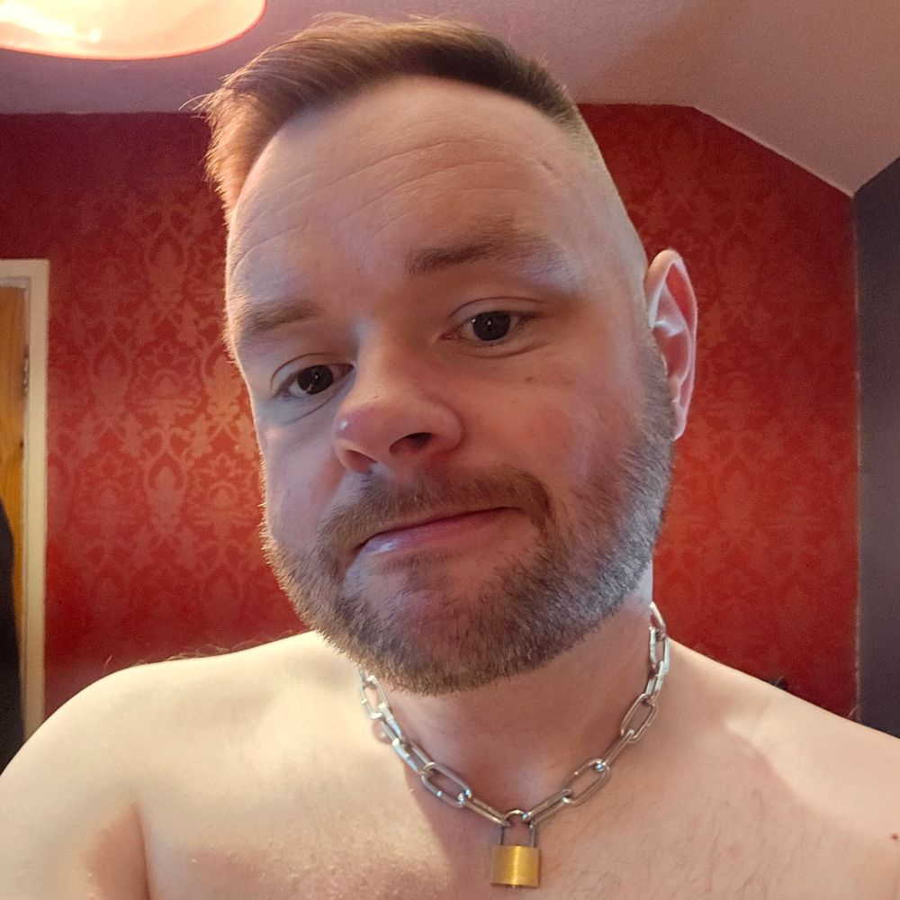 Mr Sub