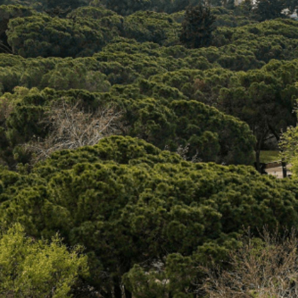 BiologyTechnion
