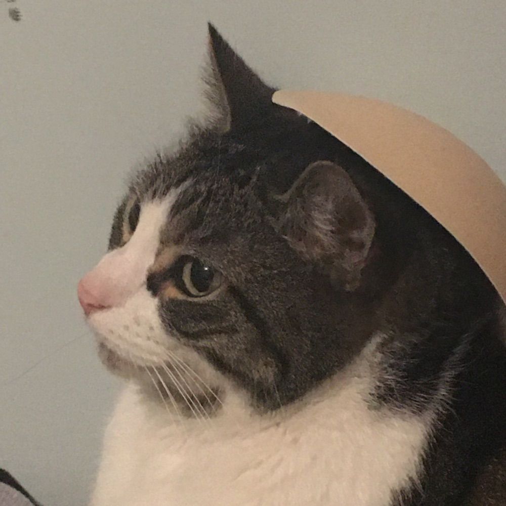 Ajax