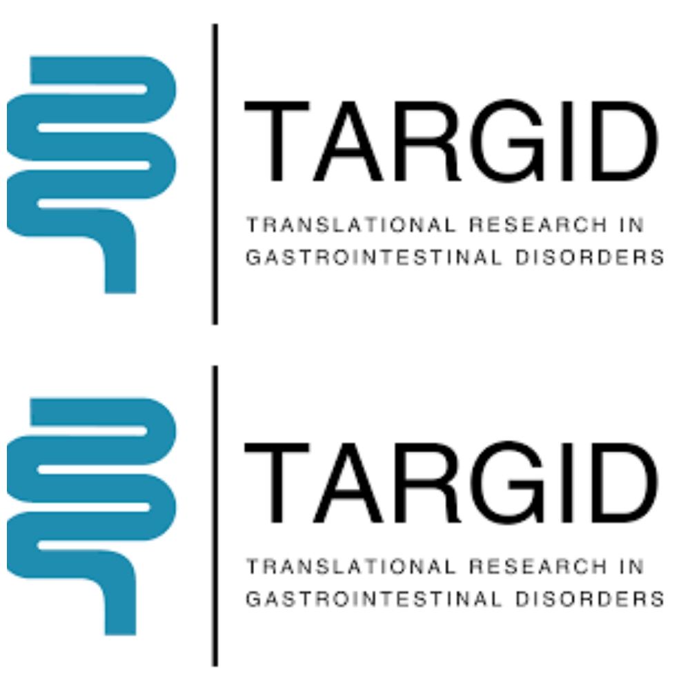 TARGID KU Leuven