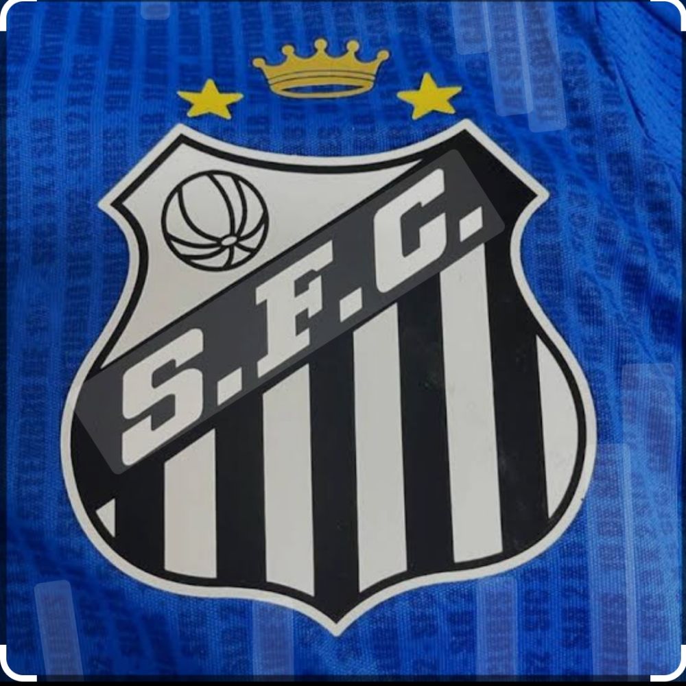 Santos, sempre Santos !! 🇧🇷🕊️🏳️