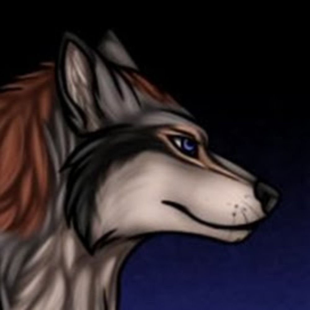 Shadow D. Wolf's avatar