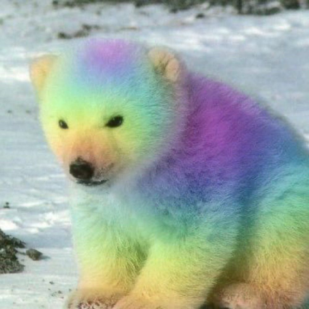 Couragebear Mel