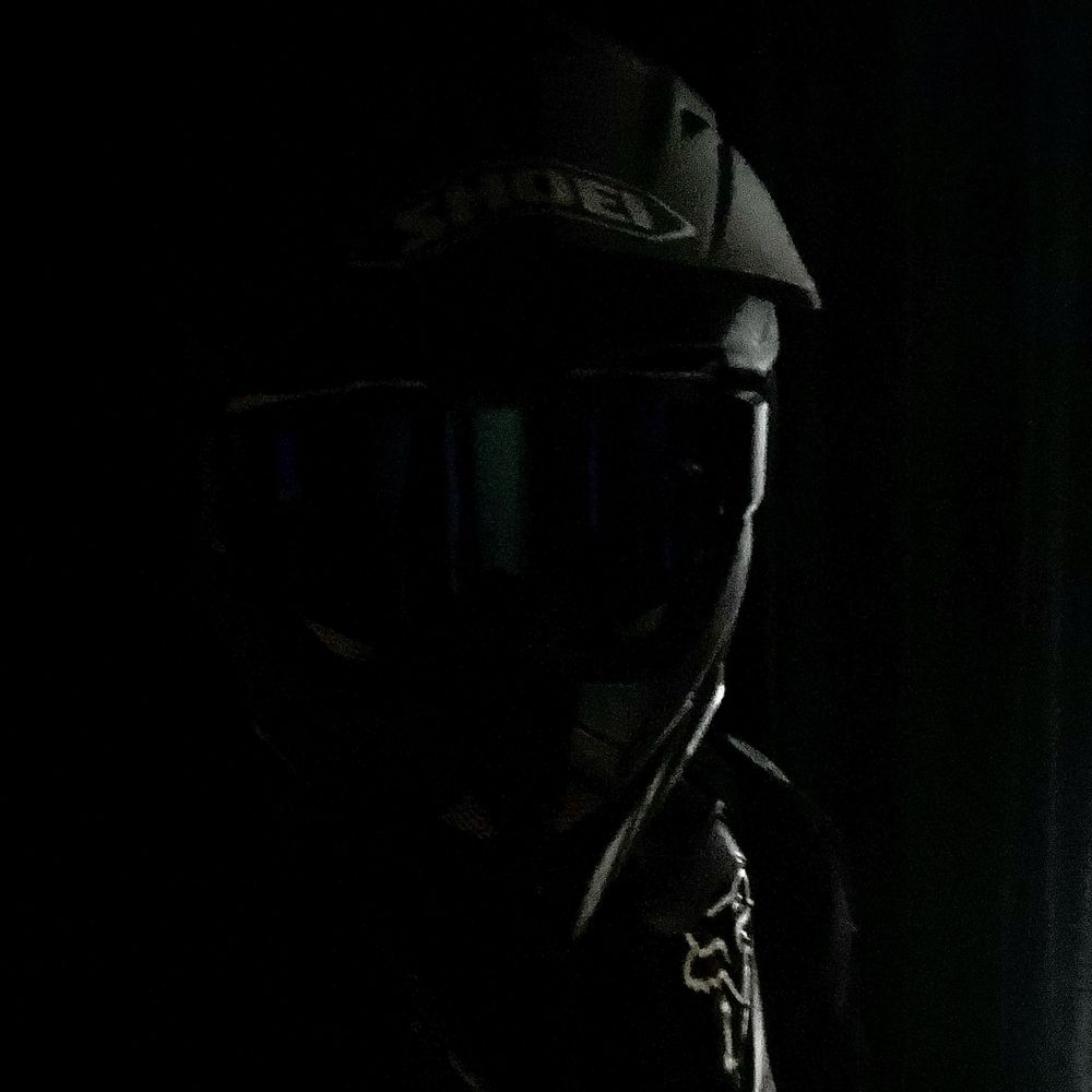 TheDirectorMX