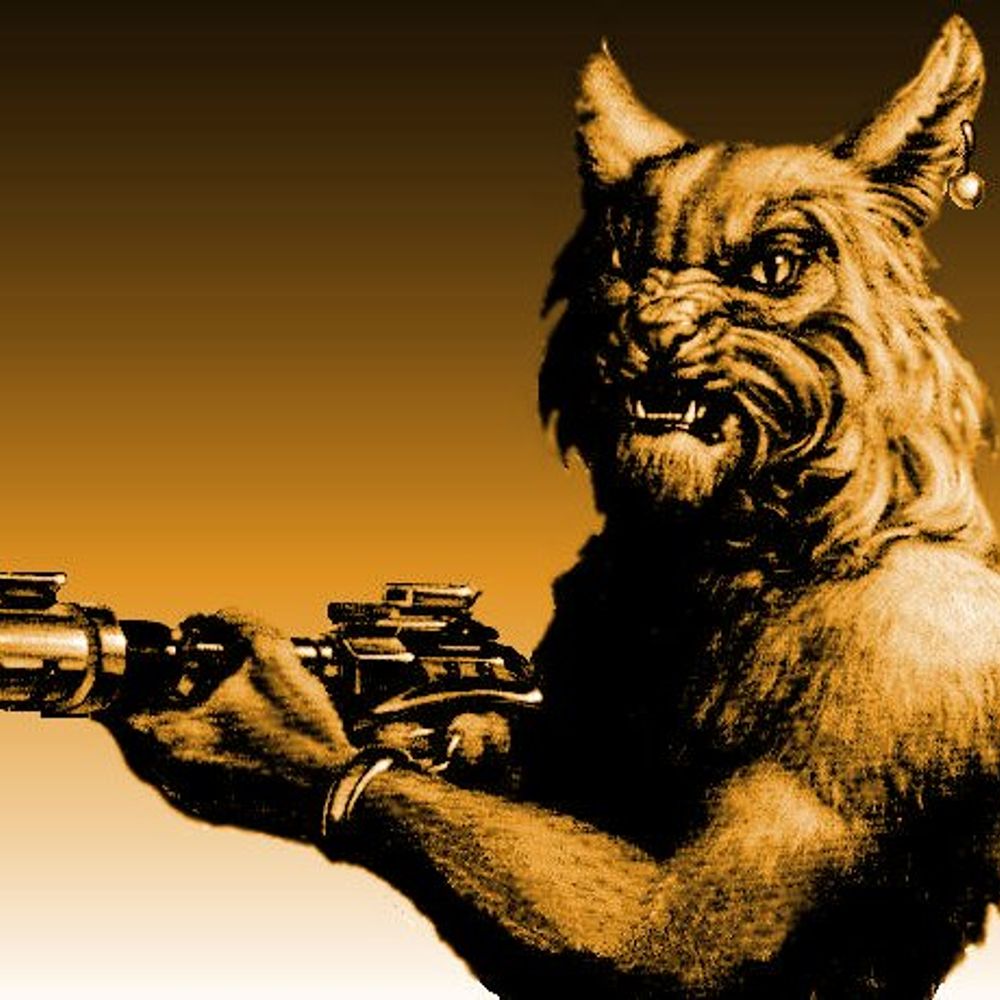 Wiccat DaBOFH