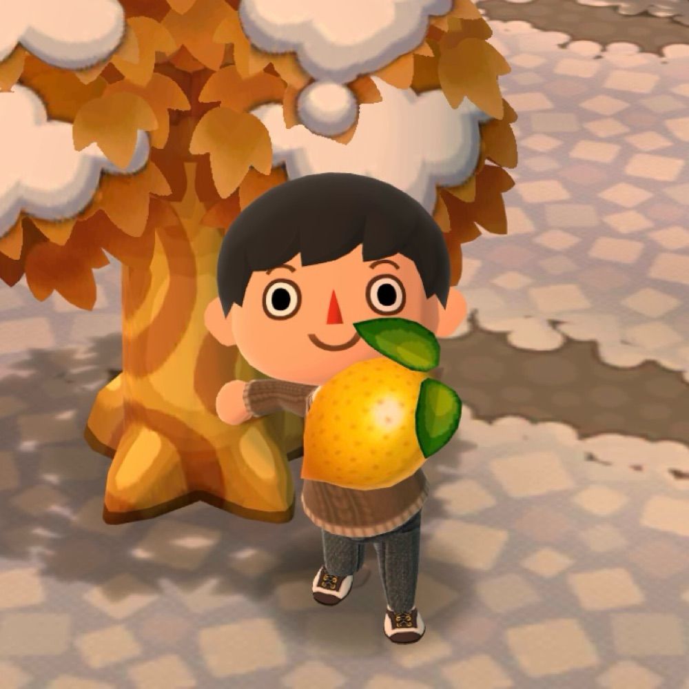 bec