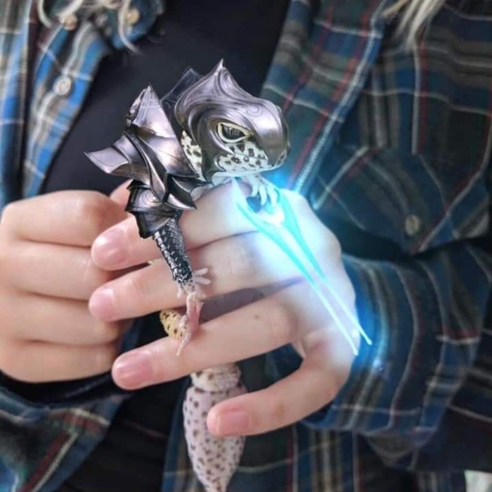 Rokami
