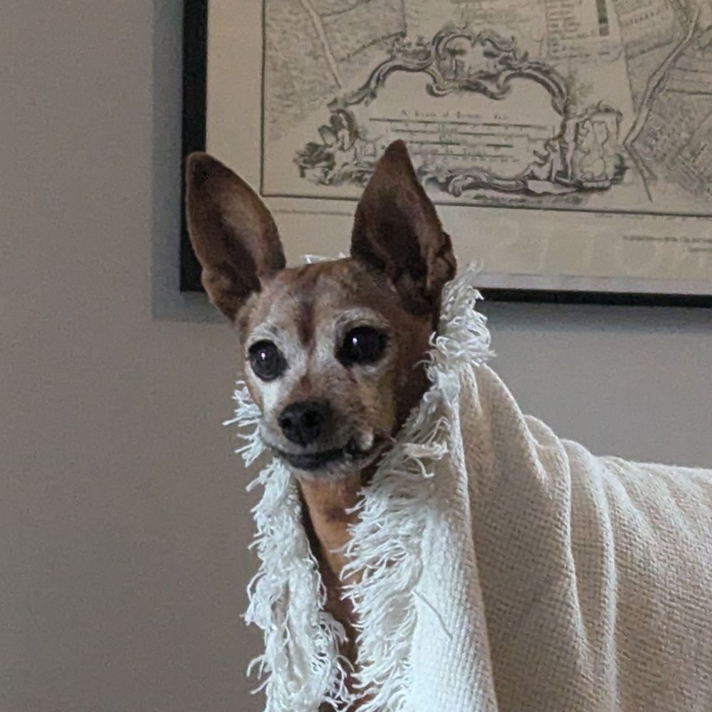 Liberace II