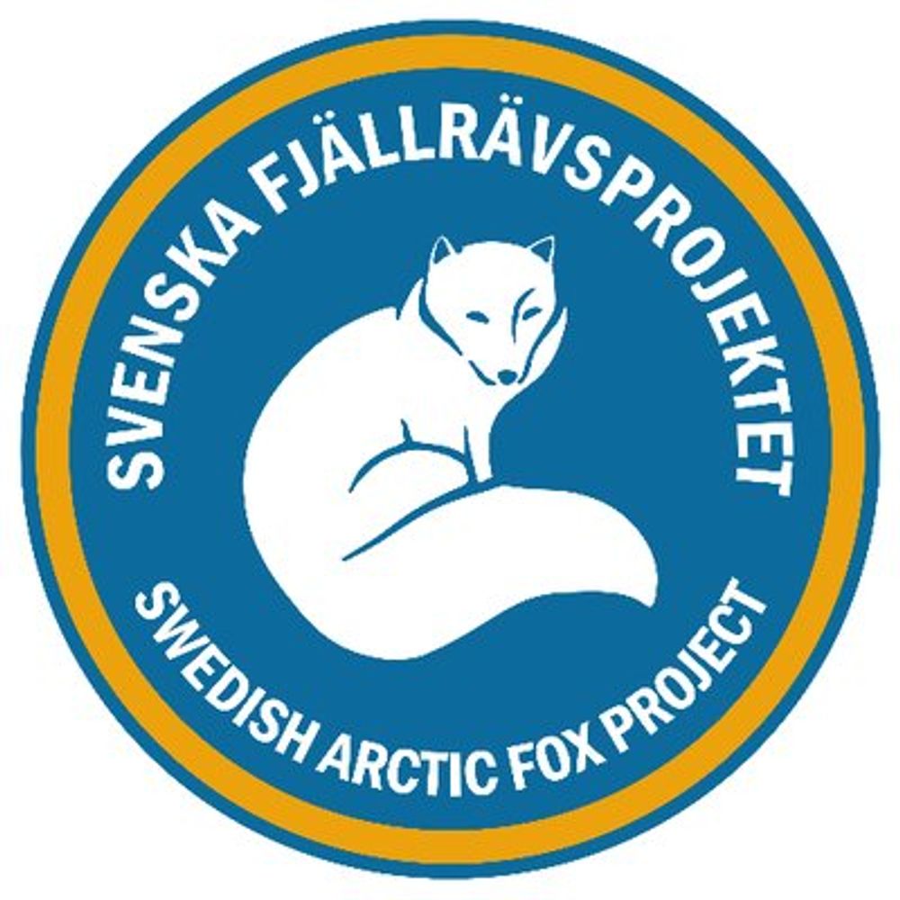 The Swedish Arctic Fox Project/Svenska fjällrävsprojektet