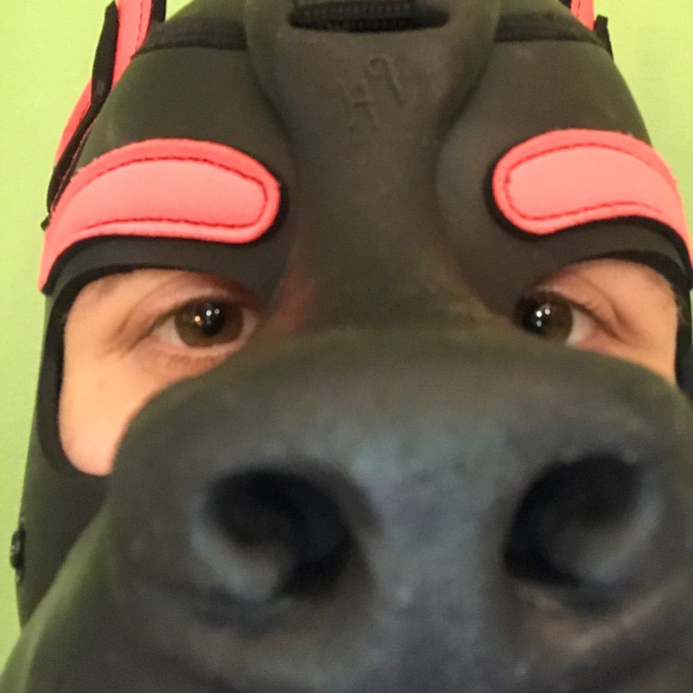 Puppy Vawski