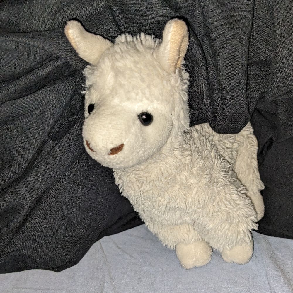 Queer Alpaca