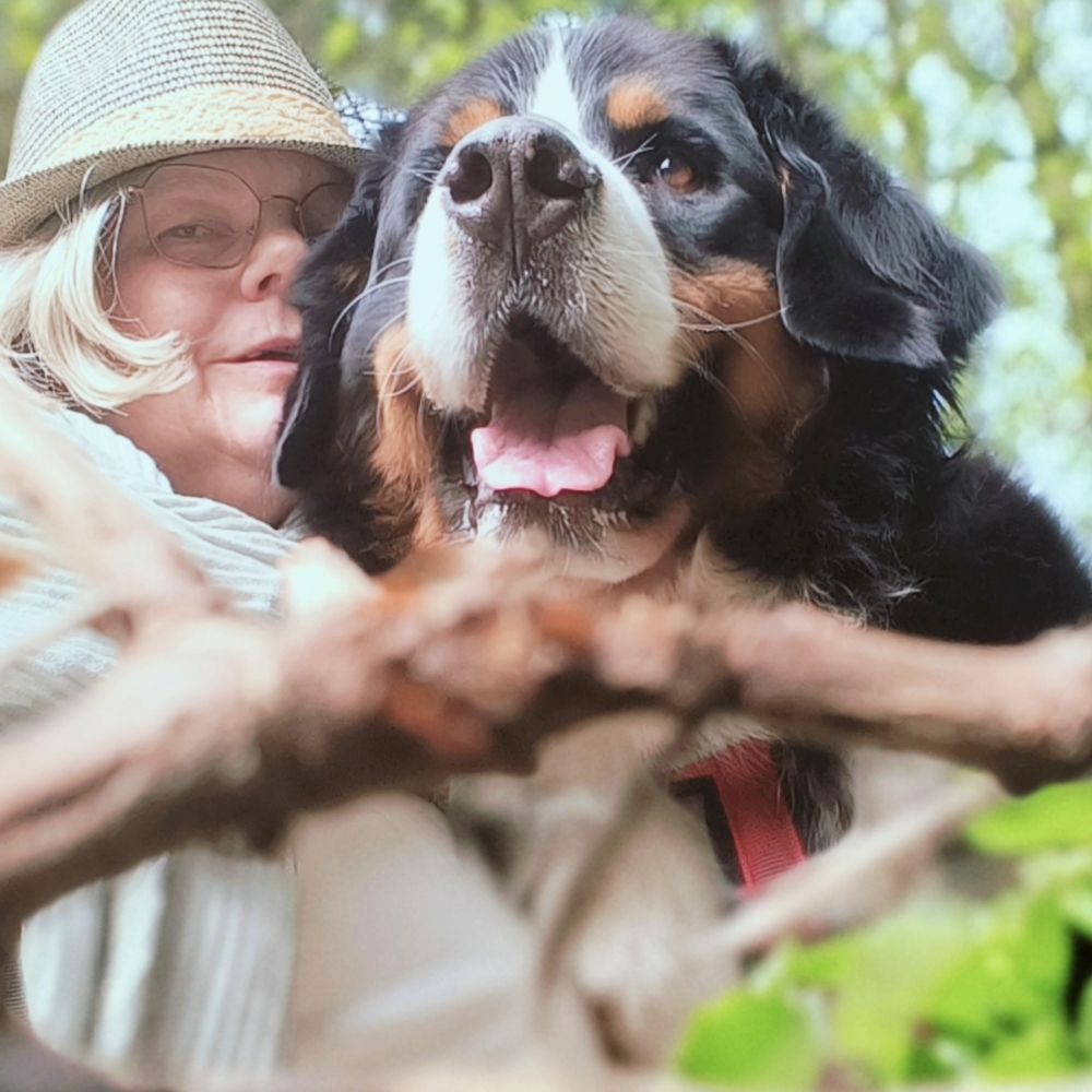 Assistencedog Berner Boris