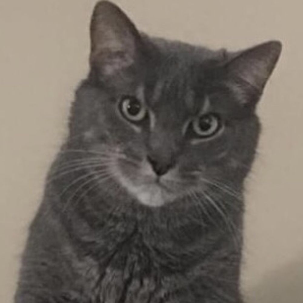 MrTazz