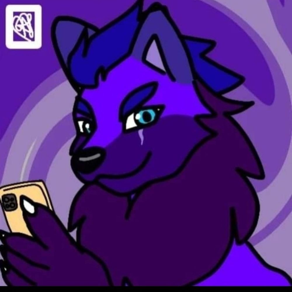 Djwolfboy