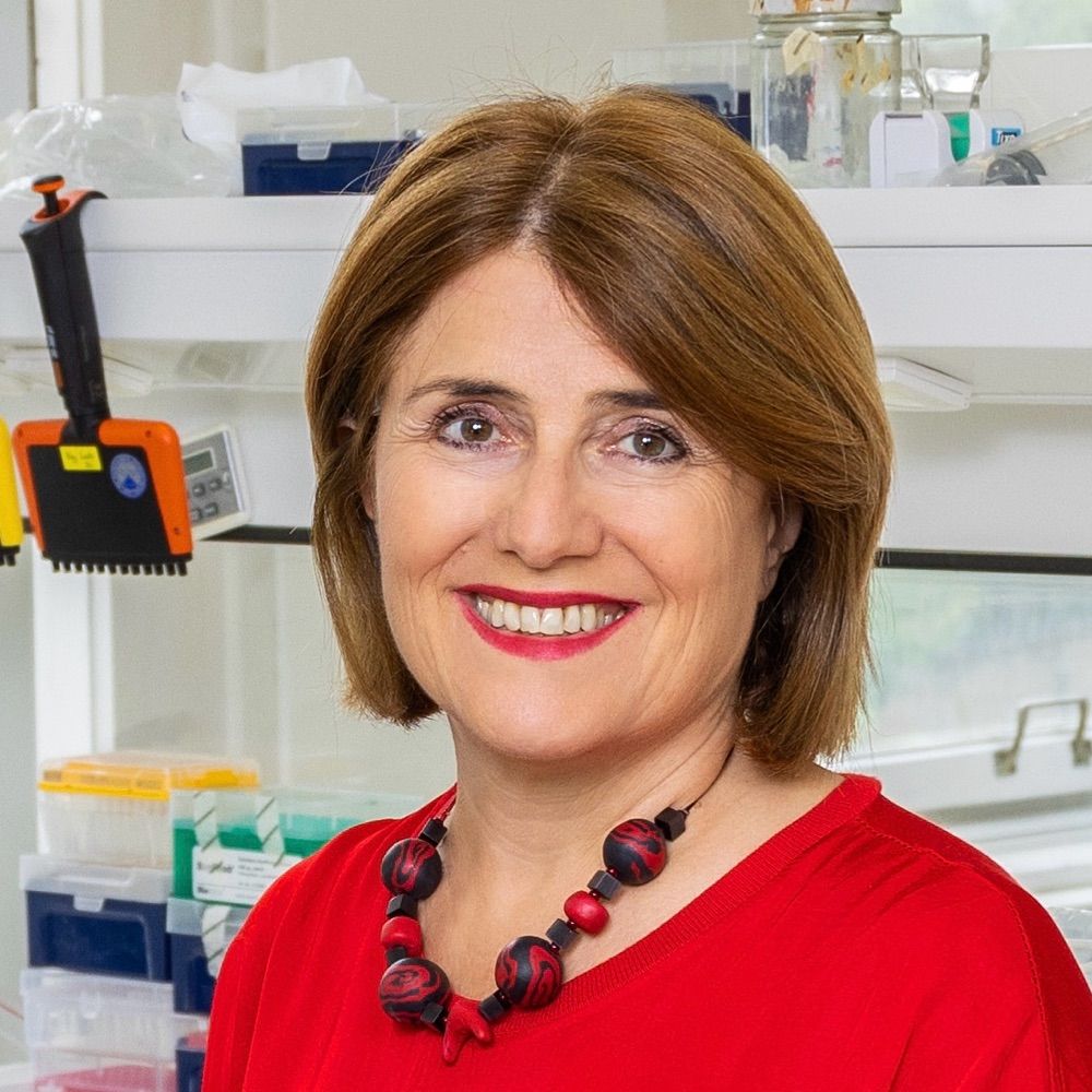 Maria Sibilia