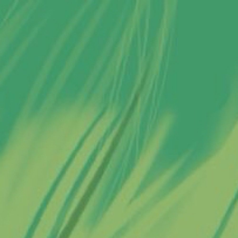 bot²