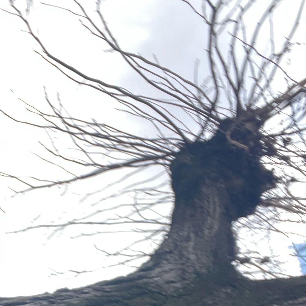 ああ