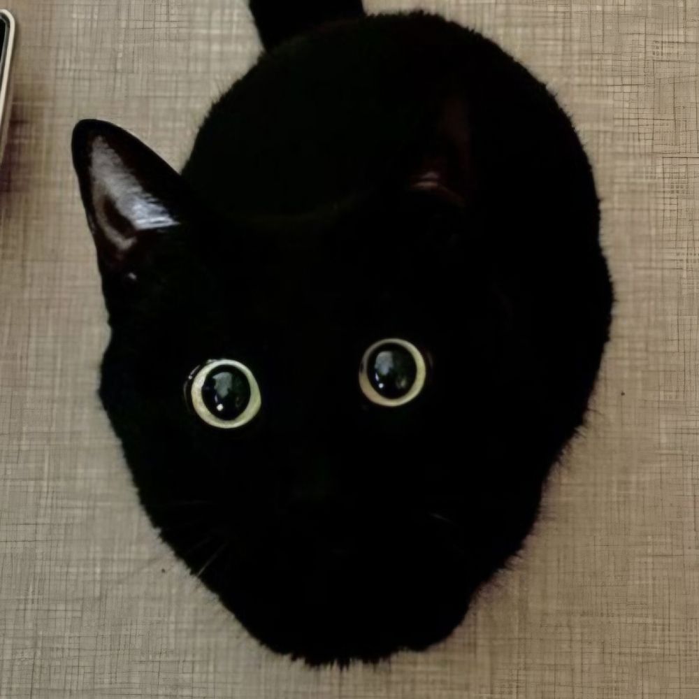 까꽁👽