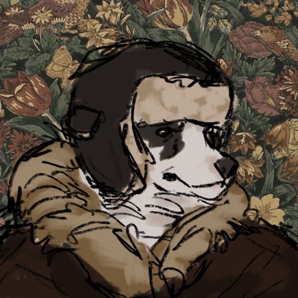 dan