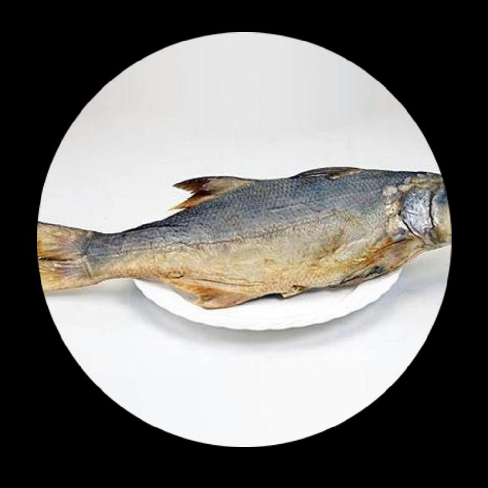 成為鹹魚是我的夢想