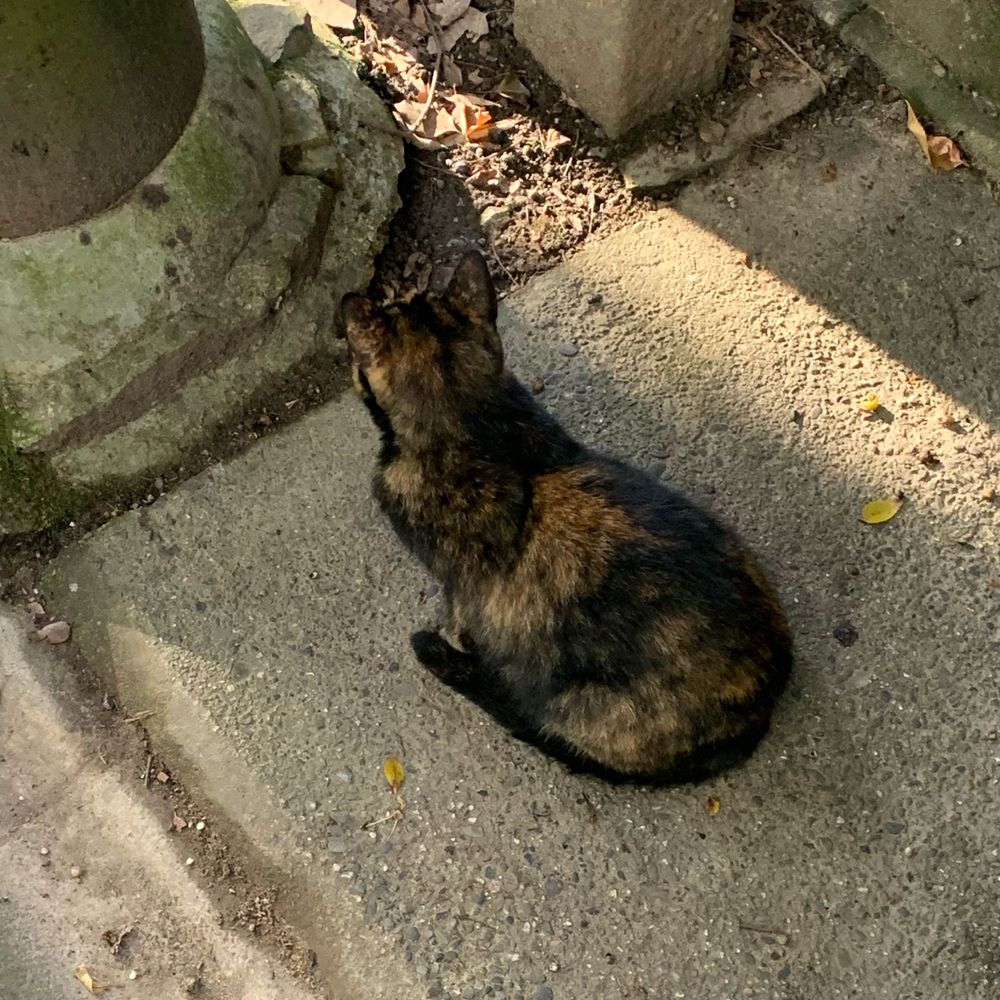 ユウ
