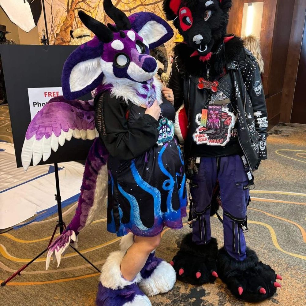 punk rock wolfe