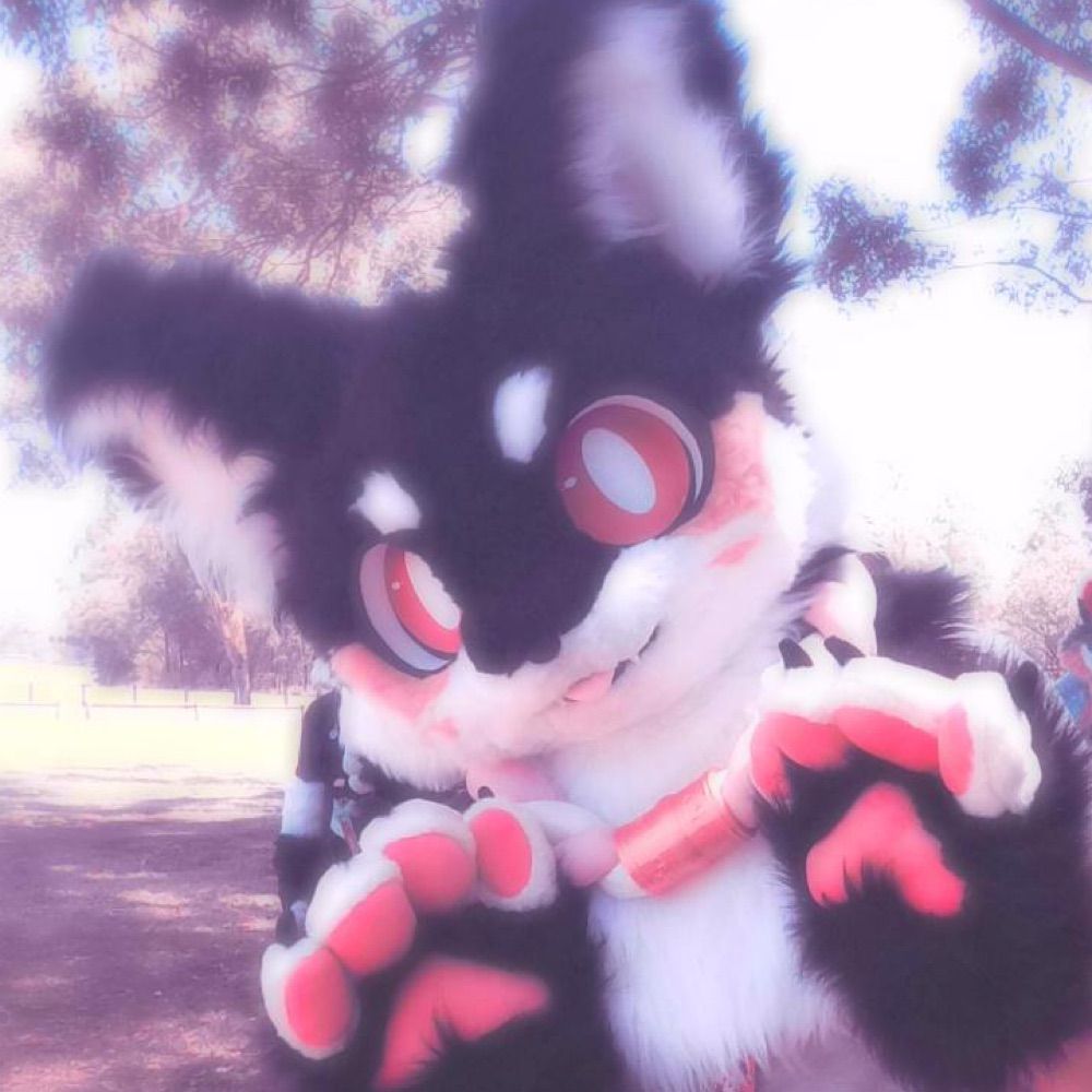 Raikon