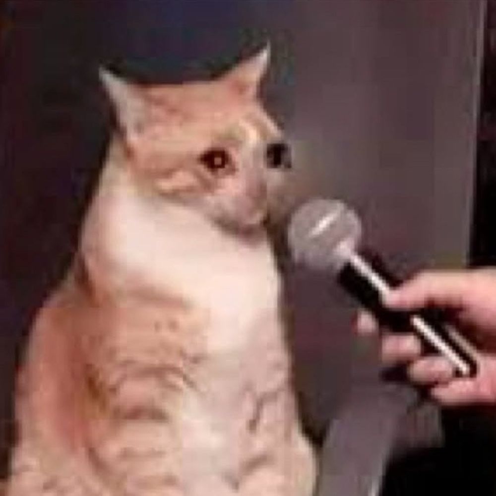 Daniela Mercuria Retrógrada 🐈