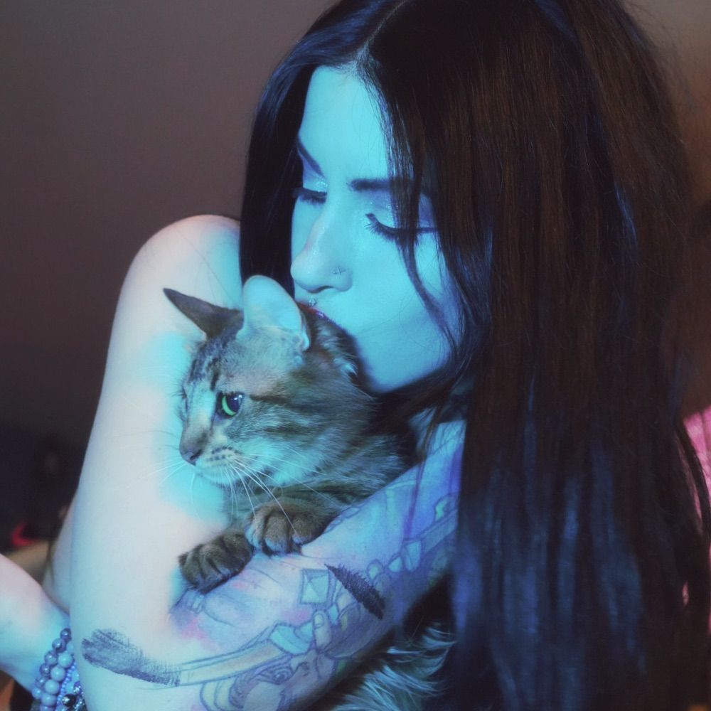 Pokket’s Monsters 🐱
